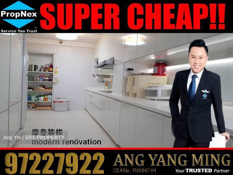 Blk 290B Bukit Batok Street 24 (Bukit Batok), HDB Executive #171231452